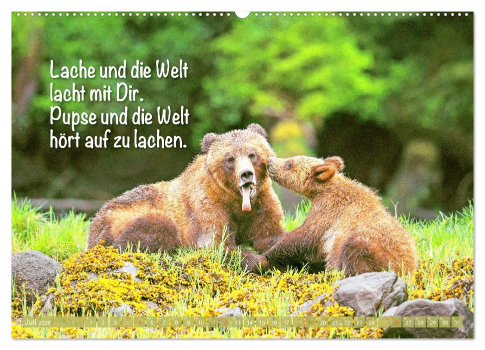 Spaß mit Bären: Edition lustige Tiere (CALVENDO Premium Wandkalender 2026)