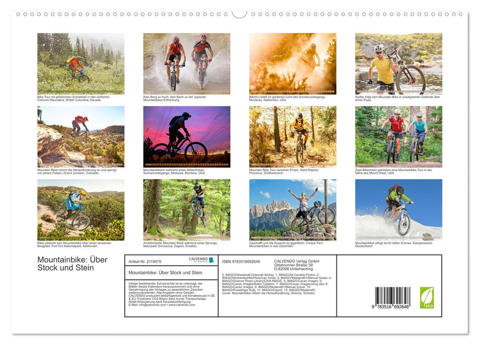 Mountainbike: Über Stock und Stein (CALVENDO Premium Wandkalender 2026)