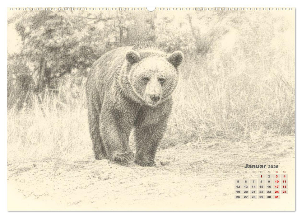 Wilde Seelen - Tierische Momente in Graphit (CALVENDO Wandkalender 2026)
