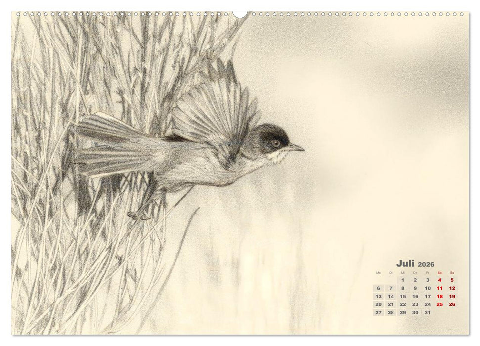 Wilde Seelen - Tierische Momente in Graphit (CALVENDO Premium Wandkalender 2026)