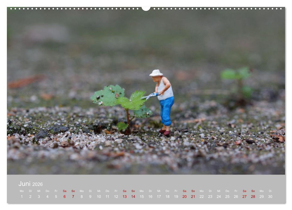 Das zweite Leben von Miniatur-Figuren (CALVENDO Premium Wandkalender 2026)