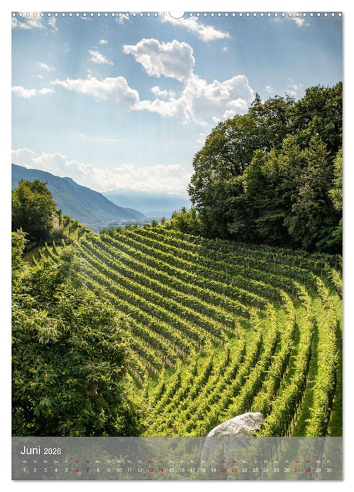 Auf dem Marlinger Waalweg (CALVENDO Premium Wandkalender 2026)