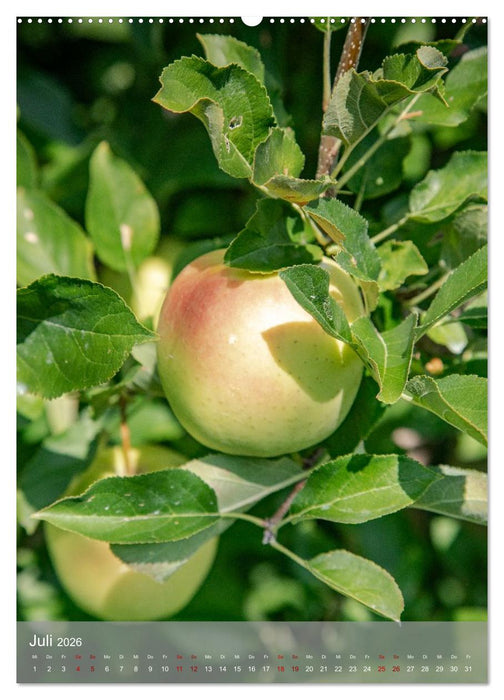 Auf dem Marlinger Waalweg (CALVENDO Premium Wandkalender 2026)