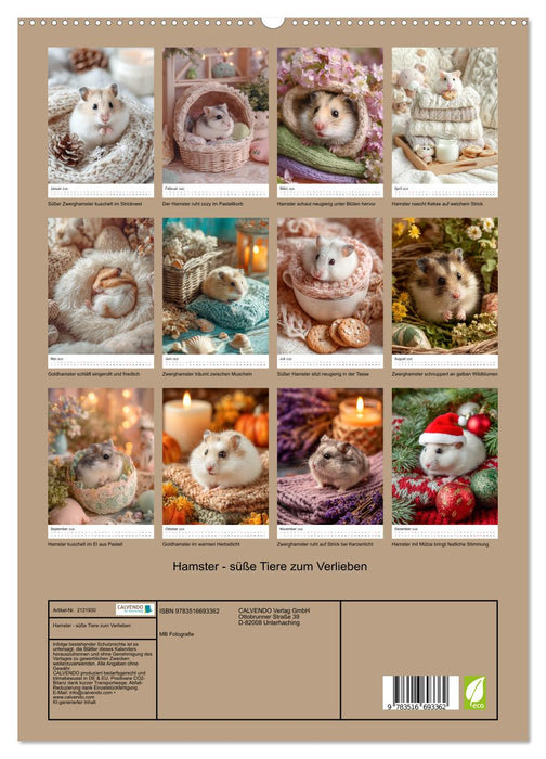 Hamster - süße Tiere zum Verlieben (CALVENDO Premium Wandkalender 2026)