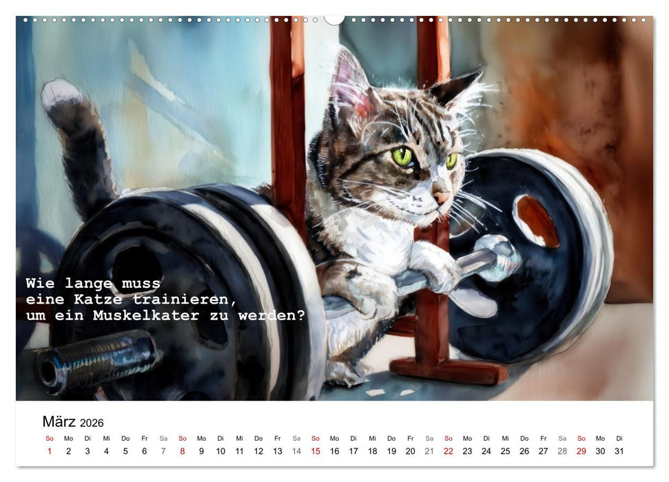 Lustige und paradoxe Fragen (CALVENDO Wandkalender 2026)