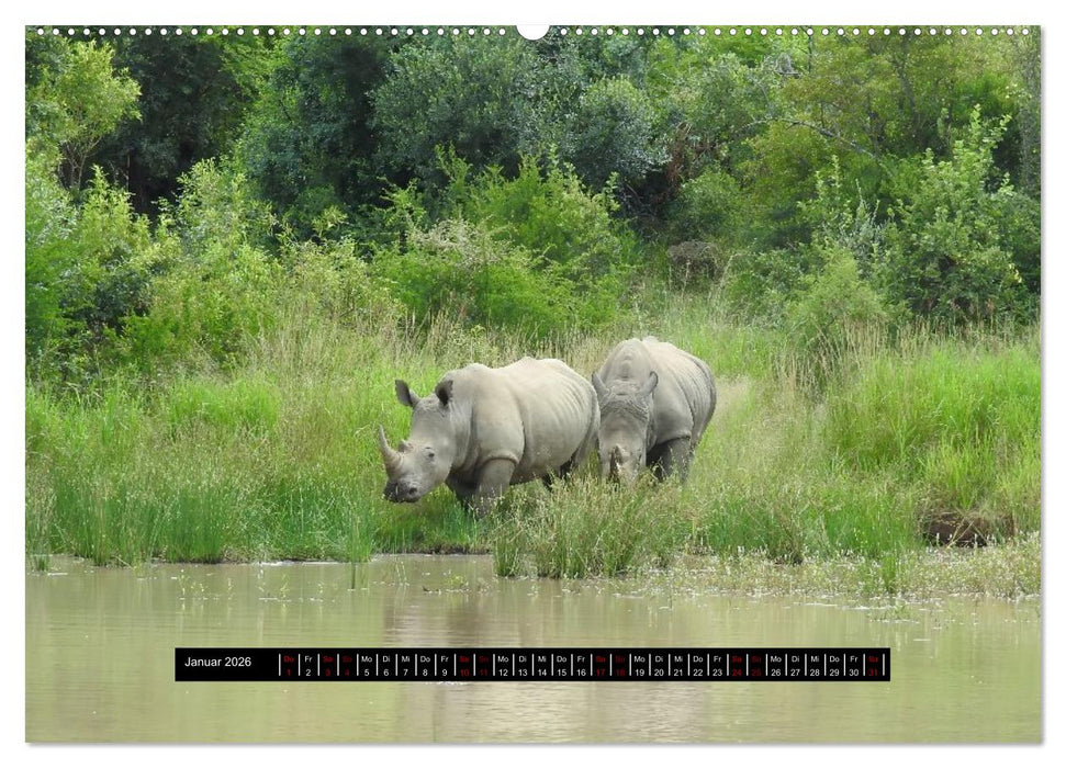 Afrika - Vielfalt in Flora und Fauna (CALVENDO Wandkalender 2026)