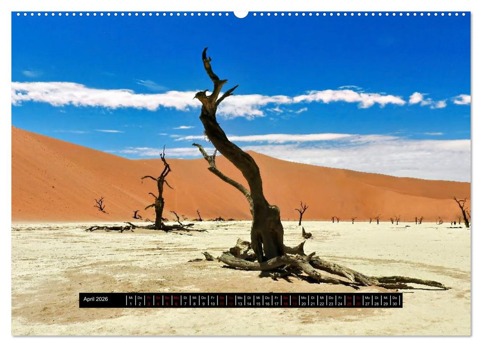 Afrika - Vielfalt in Flora und Fauna (CALVENDO Premium Wandkalender 2026)