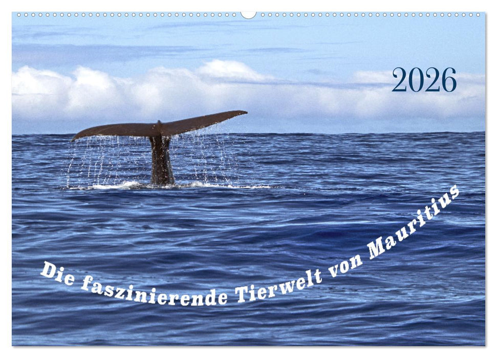 Faszinierende Tierwelt von Mauritius - Magische Momente der Natur (CALVENDO Wandkalender 2026)