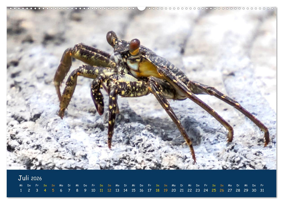 Faszinierende Tierwelt von Mauritius - Magische Momente der Natur (CALVENDO Premium Wandkalender 2026)