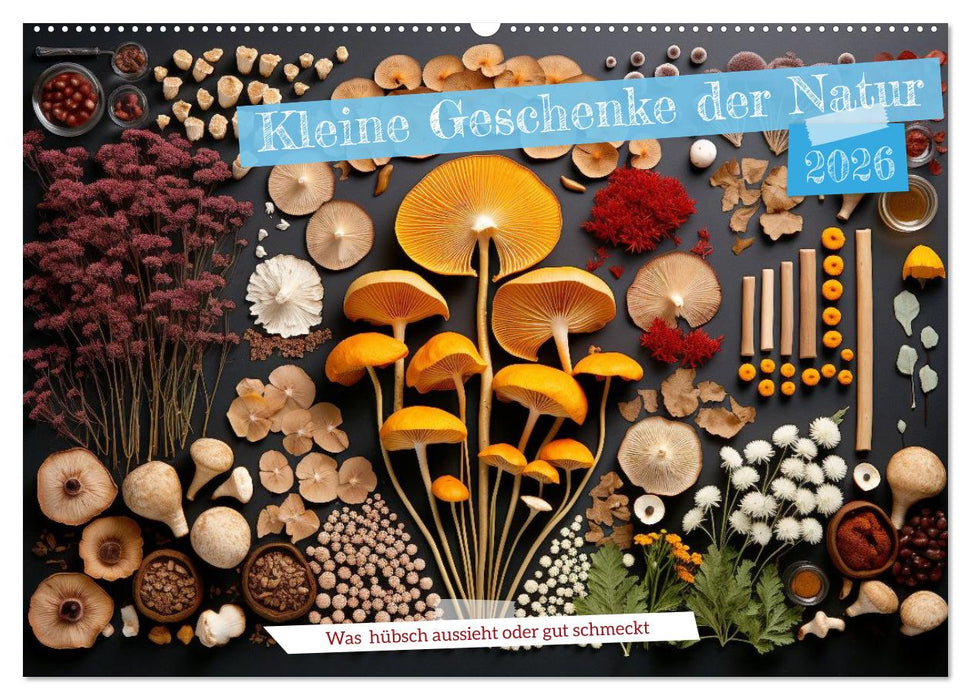Kleine Geschenke der Natur (CALVENDO Wandkalender 2026)