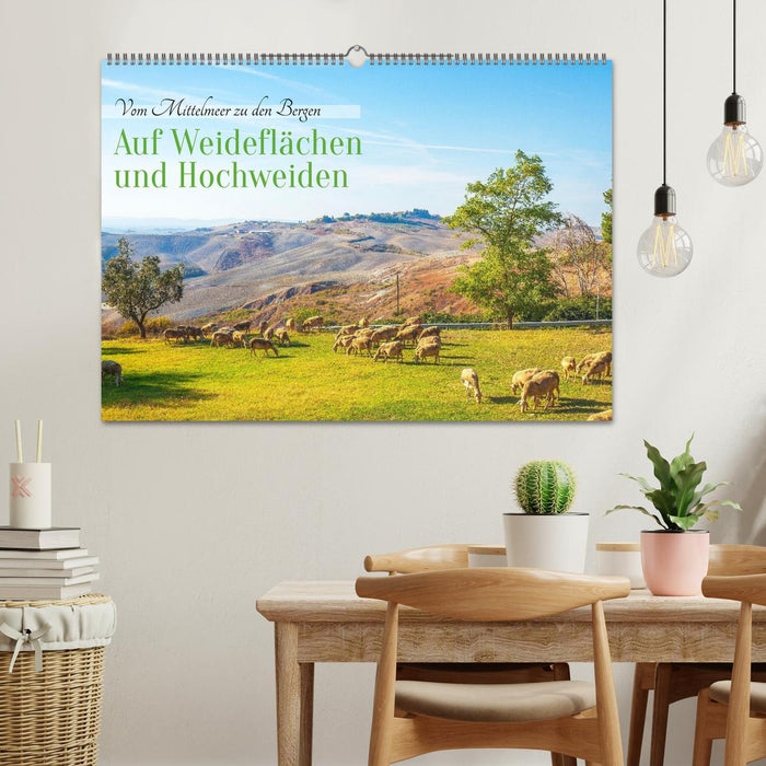 Auf Weideflächen und Hochweiden (CALVENDO Wandkalender 2026)