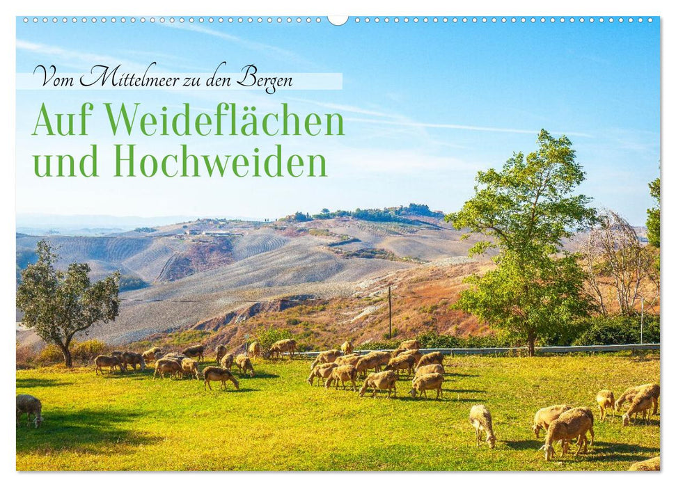 Auf Weideflächen und Hochweiden (CALVENDO Wandkalender 2026)