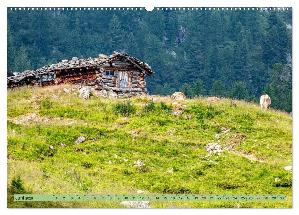 Auf Weideflächen und Hochweiden (CALVENDO Wandkalender 2026)