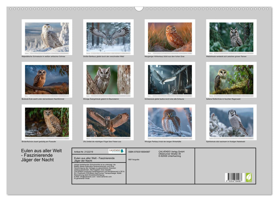 Eulen aus aller Welt - Faszinierende Jäger der Nacht (CALVENDO Wandkalender 2026)