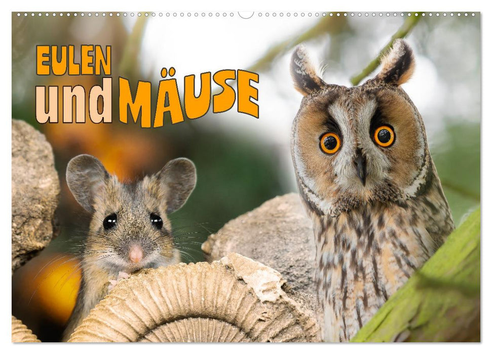 Eulen und Mäuse (CALVENDO Wandkalender 2026)