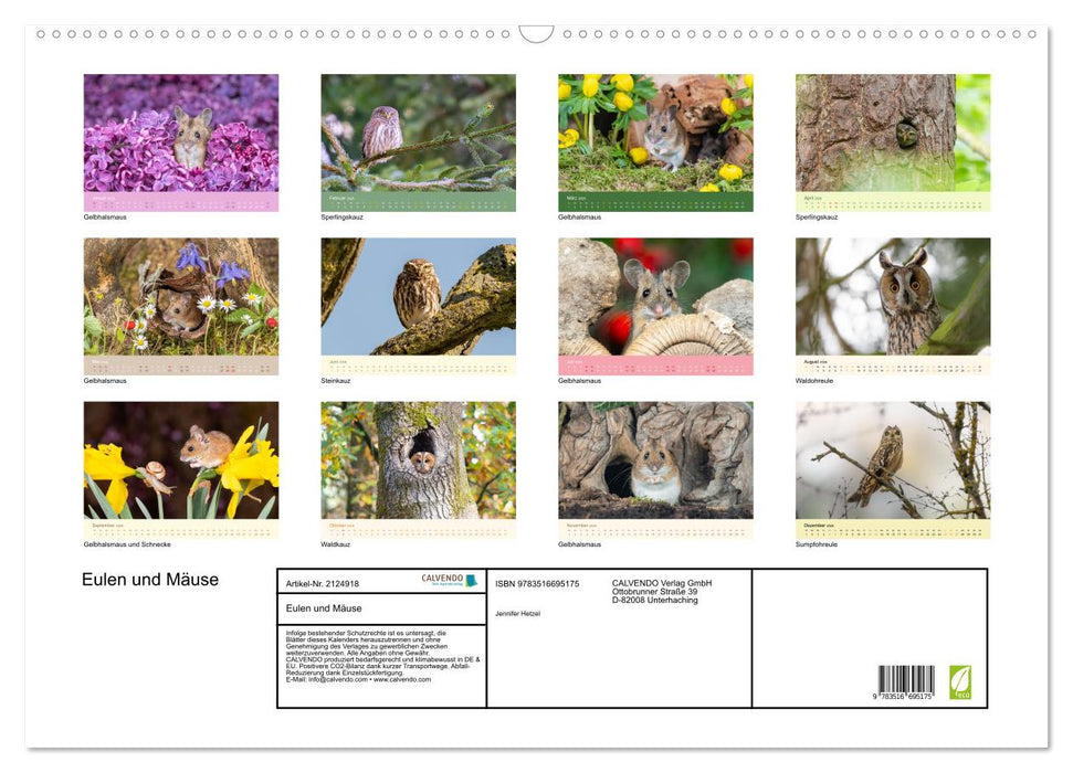 Eulen und Mäuse (CALVENDO Wandkalender 2026)