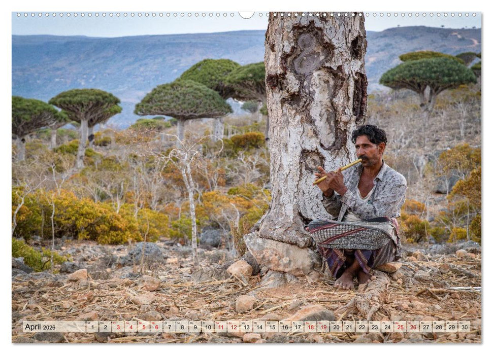 SOKOTRA - Magische Insel (CALVENDO Wandkalender 2026)