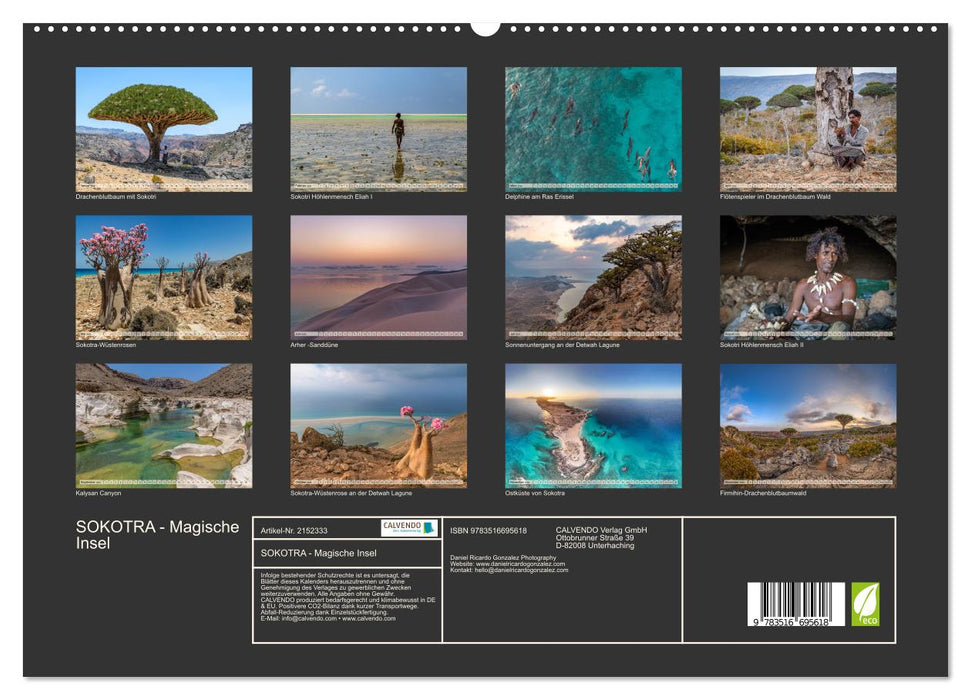 SOKOTRA - Magische Insel (CALVENDO Premium Wandkalender 2026)