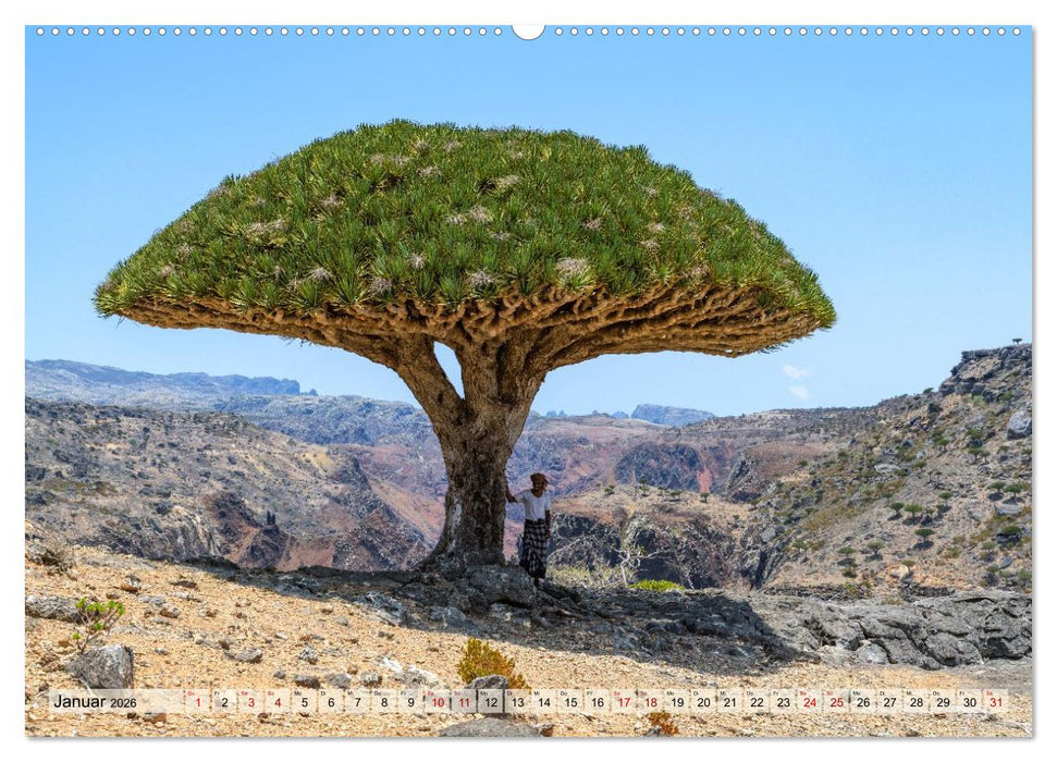 SOKOTRA - Magische Insel (CALVENDO Premium Wandkalender 2026)