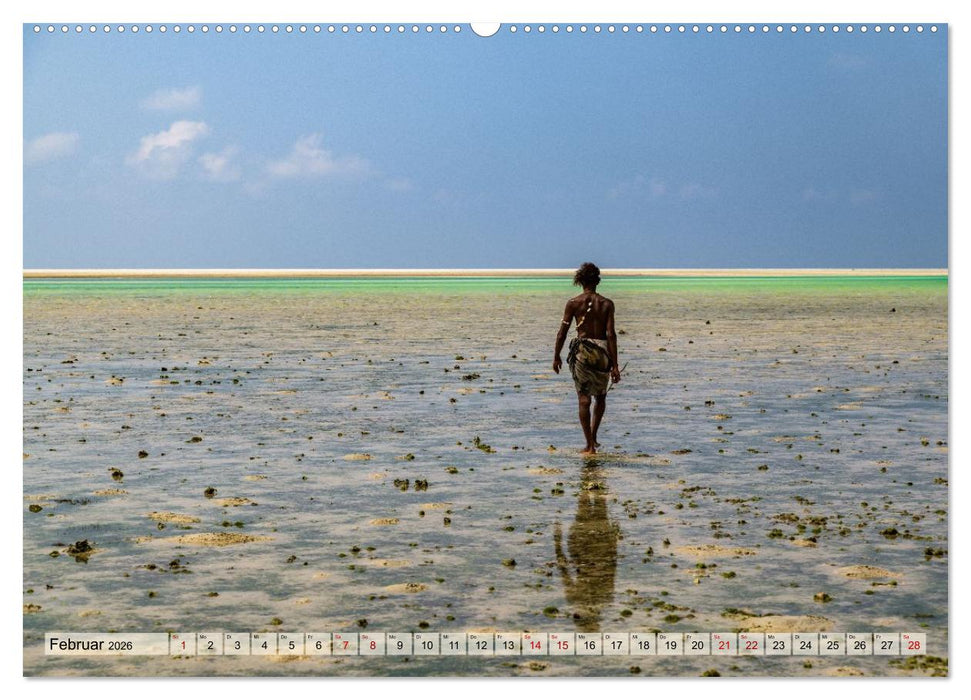 SOKOTRA - Magische Insel (CALVENDO Premium Wandkalender 2026)