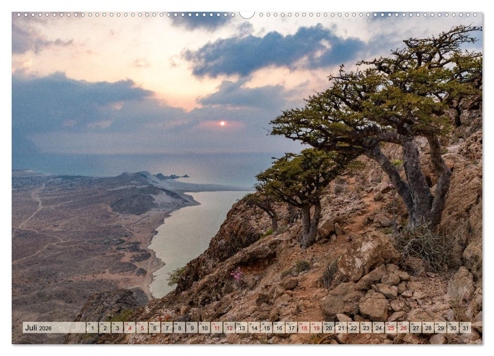 SOKOTRA - Magische Insel (CALVENDO Premium Wandkalender 2026)