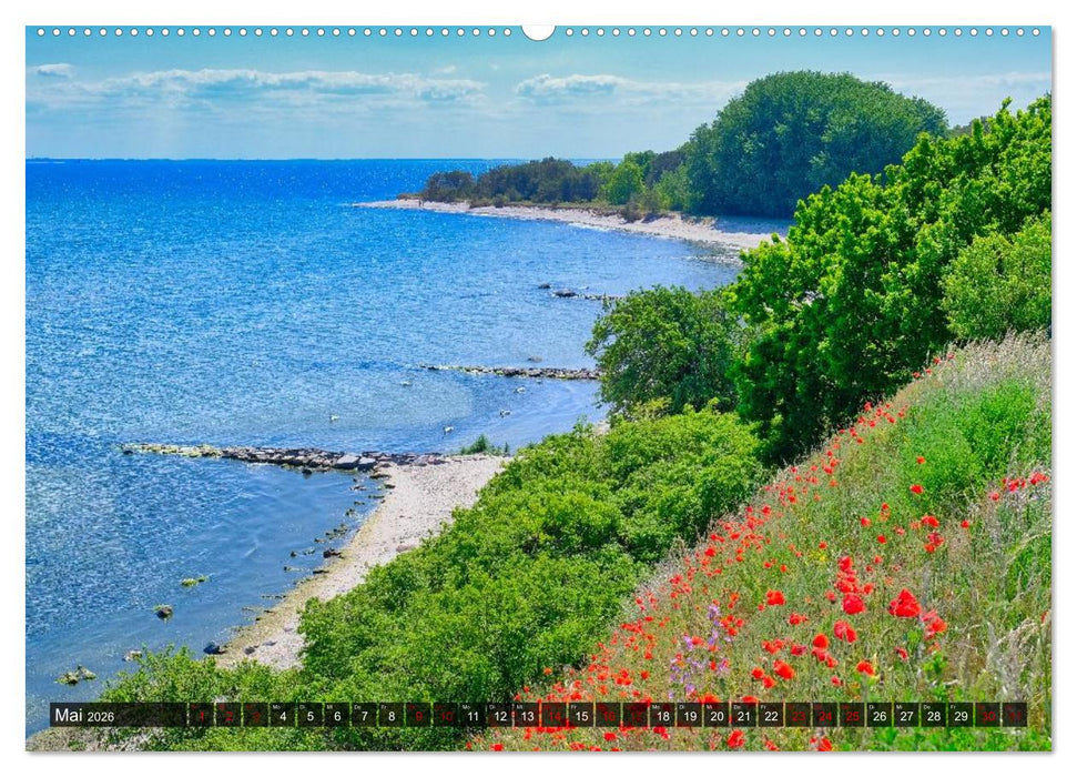 Das Mönchgut und Thiessow (CALVENDO Premium Wandkalender 2026)