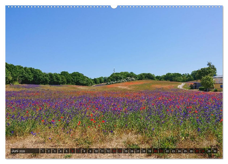 Das Mönchgut und Thiessow (CALVENDO Premium Wandkalender 2026)