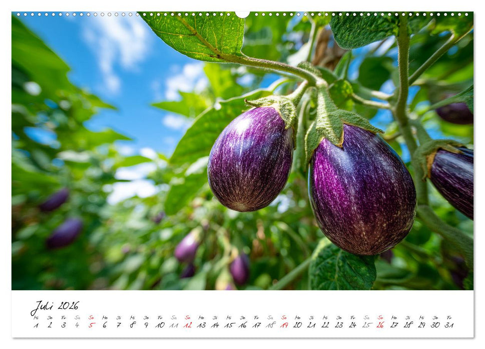 Gemüsegarten - Gemüse aus dem eigenen Garten (CALVENDO Premium Wandkalender 2026)