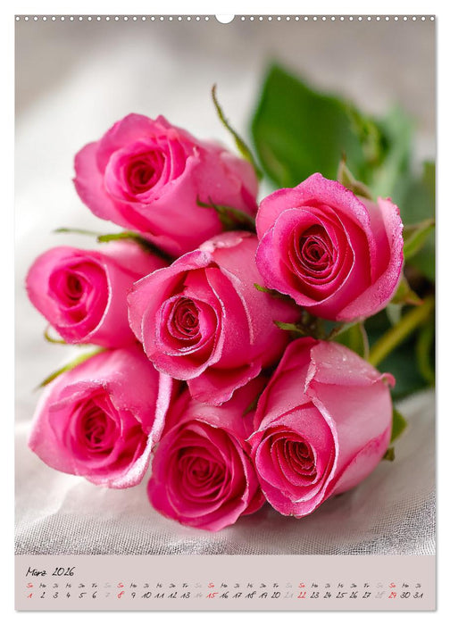 Rosen - Königin der Blumen (CALVENDO Premium Wandkalender 2026)