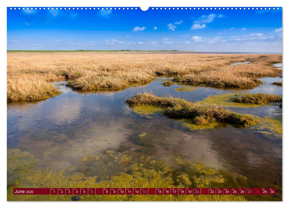 Scenic Denmark. Jutland and Copenhagen (CALVENDO Premium-Calendar 2026)