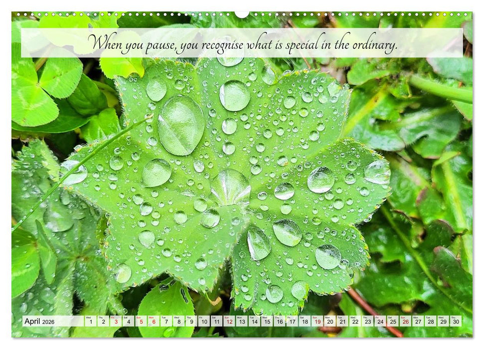 Breathe. See. Shift. Photographic and poetic inspiration for an alert life (CALVENDO Premium-Calendar 2026)