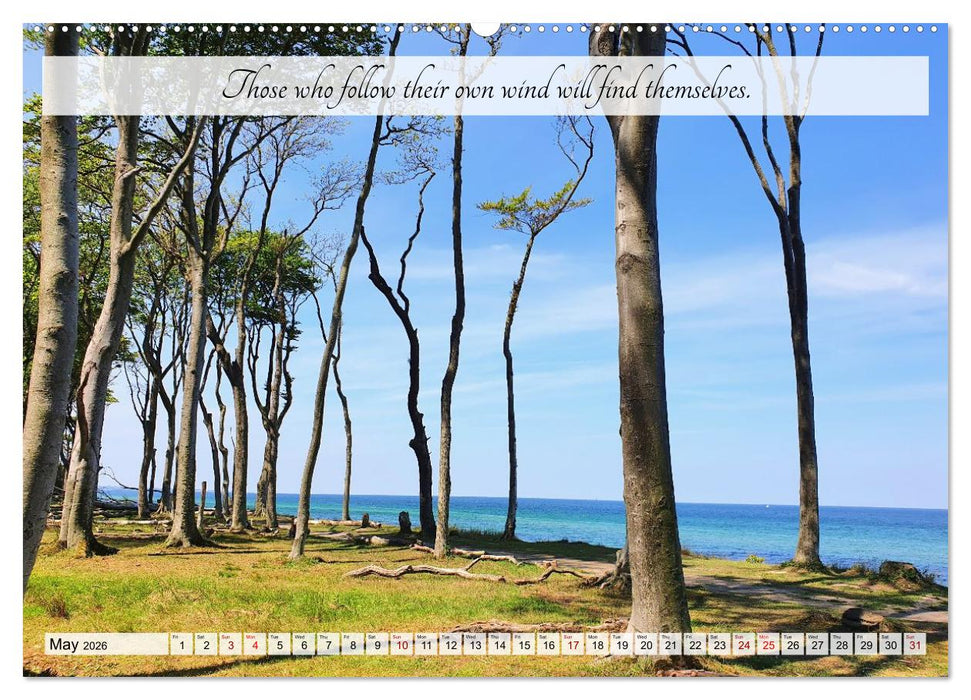 Breathe. See. Shift. Photographic and poetic inspiration for an alert life (CALVENDO Premium-Calendar 2026)