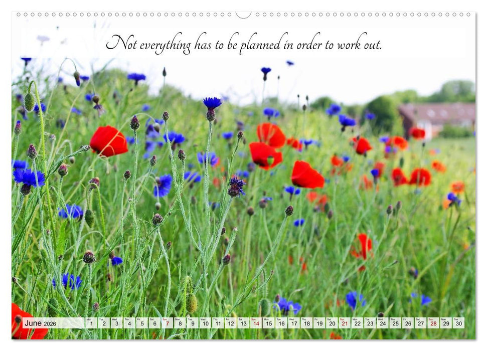 Breathe. See. Shift. Photographic and poetic inspiration for an alert life (CALVENDO Premium-Calendar 2026)