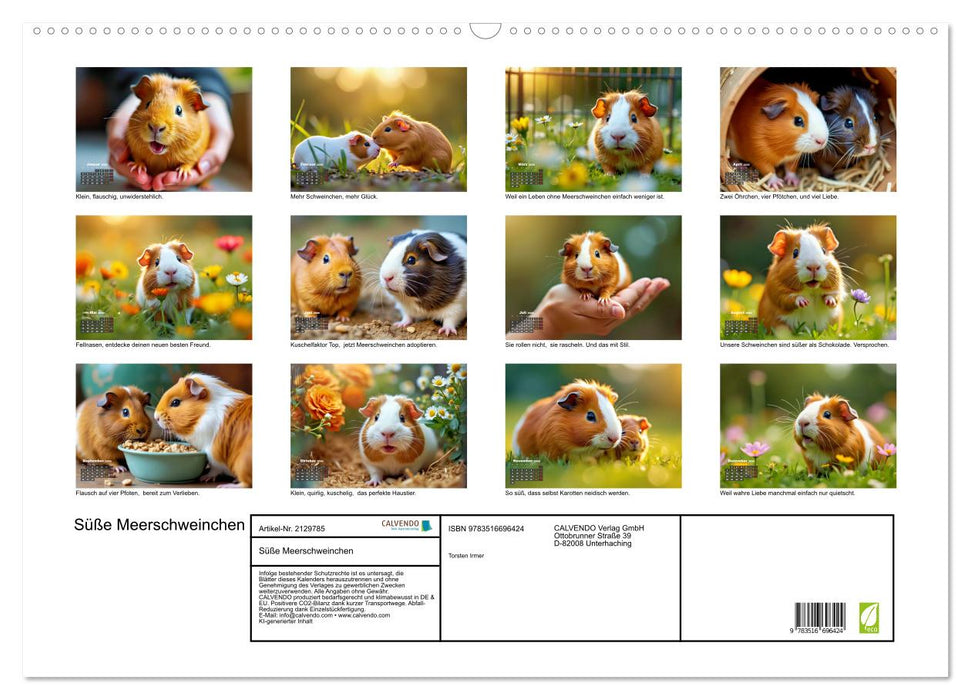 Süße Meerschweinchen (CALVENDO Wandkalender 2026)