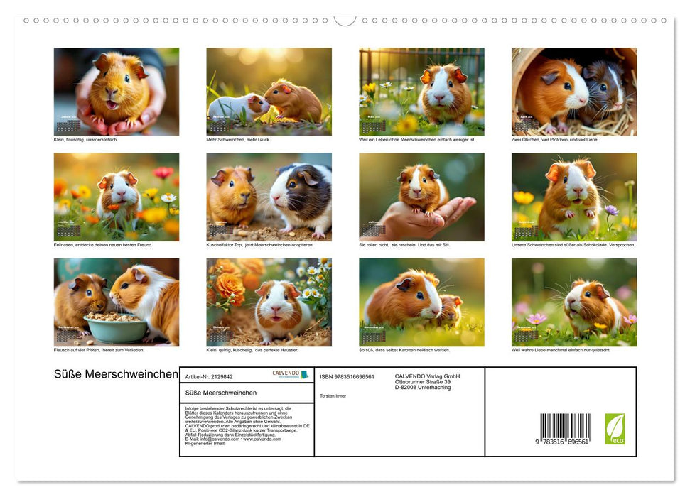 Süße Meerschweinchen (CALVENDO Premium Wandkalender 2026)