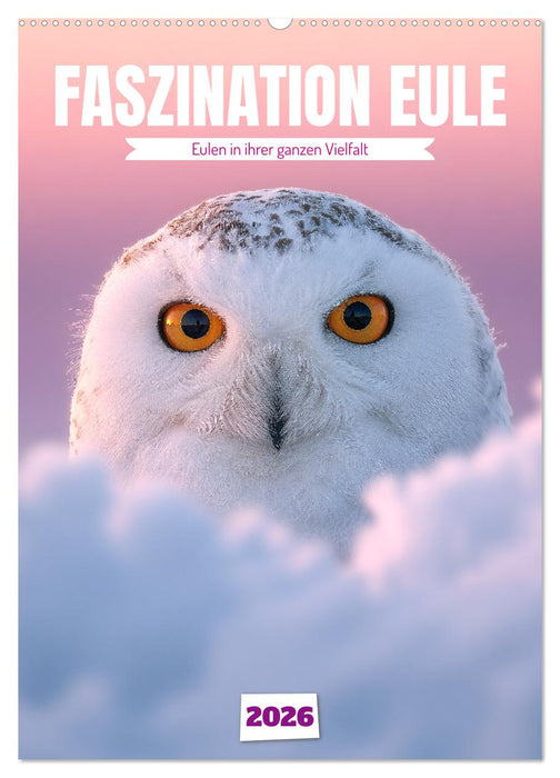Faszination Eule - Eulen in ihrer ganzen Vielfalt (CALVENDO Wandkalender 2026)
