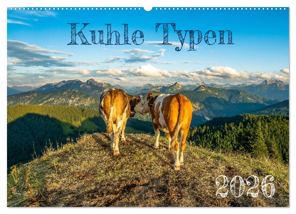 Kuhle Typen (CALVENDO Wandkalender 2026)