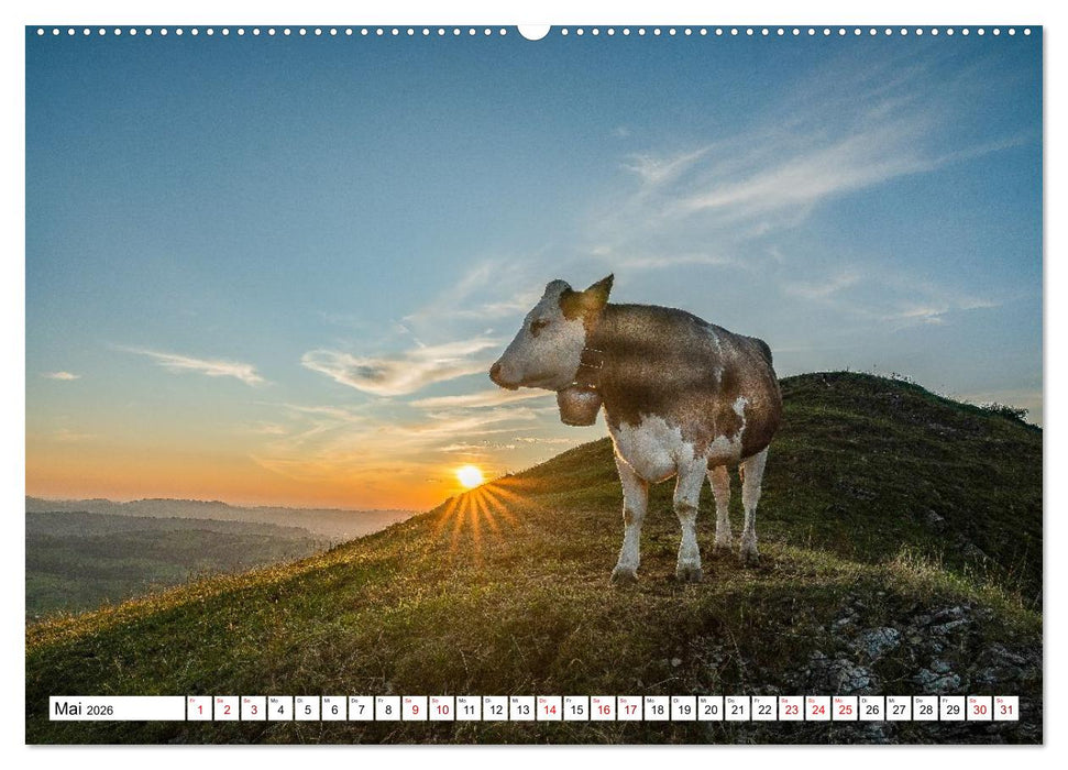 Kuhle Typen (CALVENDO Premium Wandkalender 2026)