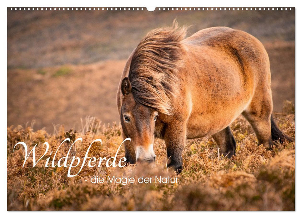 Wildperde - die Magie der Natur (CALVENDO Wandkalender 2026)
