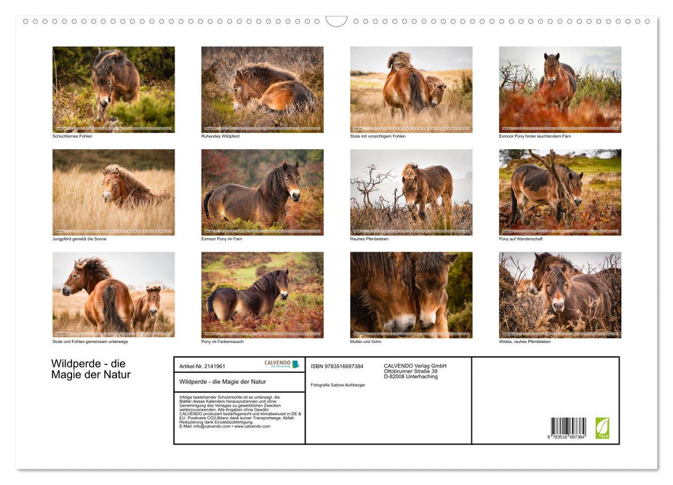 Wildperde - die Magie der Natur (CALVENDO Wandkalender 2026)