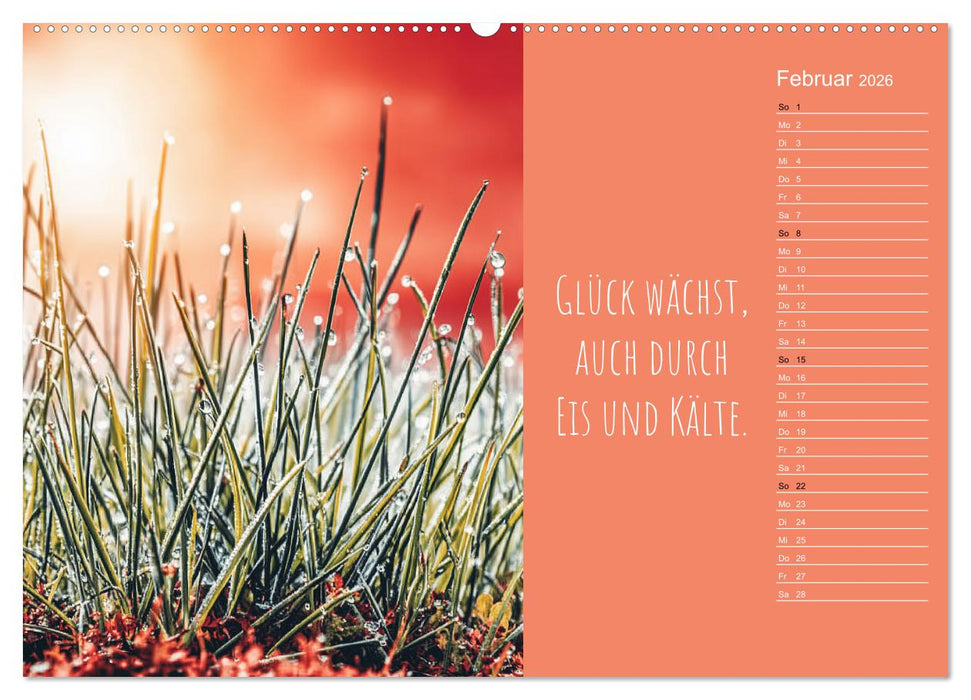 Eine Portion Glück - Motivationskalender fürs ganze Jahr (CALVENDO Wandkalender 2026)