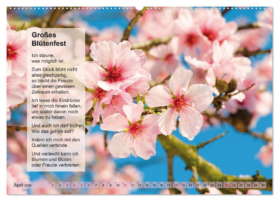 Im Rhythmus der Jahreszeiten und des Kirchenjahres (CALVENDO Premium Wandkalender 2026)