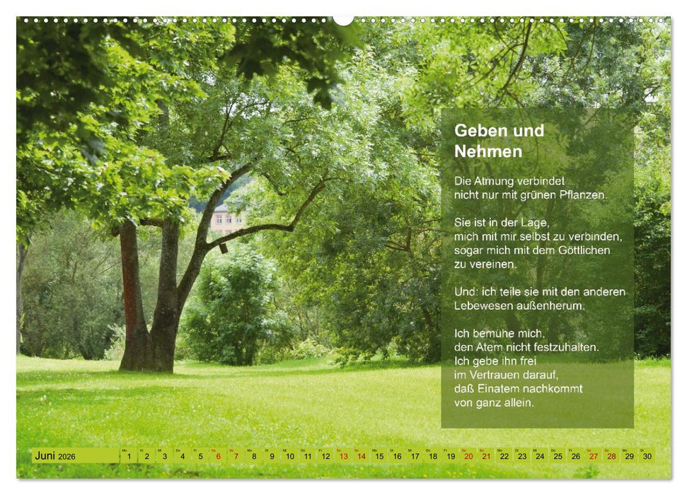 Im Rhythmus der Jahreszeiten und des Kirchenjahres (CALVENDO Premium Wandkalender 2026)