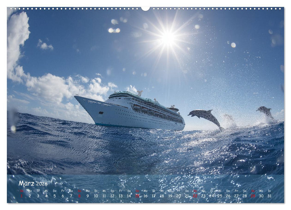 Kreuzfahrtschiffe Kalender - Kreuzfahrten und Giganten der Meere (CALVENDO Premium Wandkalender 2026)
