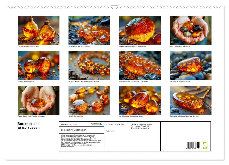 Bernstein mit Einschlüssen (CALVENDO Wandkalender 2026)