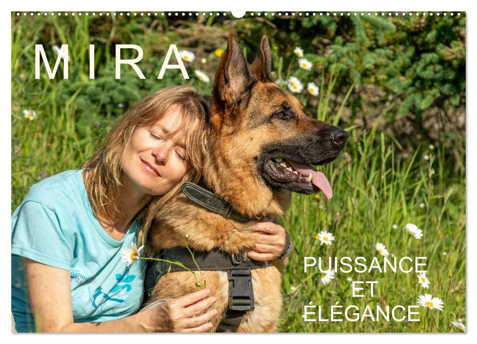 MIRA - PUISSANCE ET ÉLÉGANCE (CALVENDO Calendrier mensuel 2026)