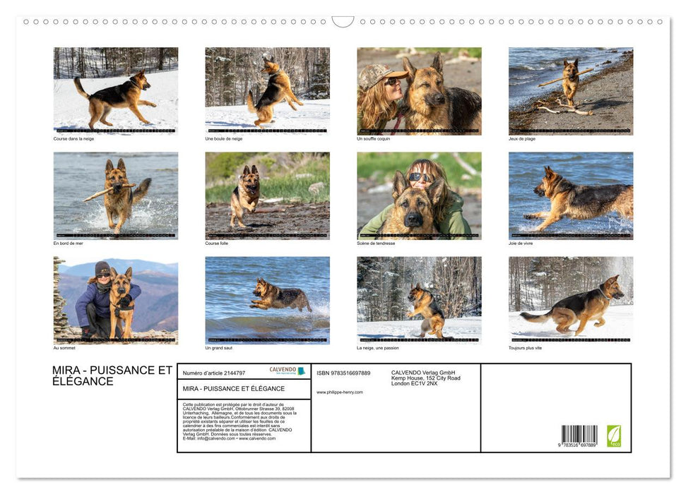 MIRA - PUISSANCE ET ÉLÉGANCE (CALVENDO Calendrier mensuel 2026)