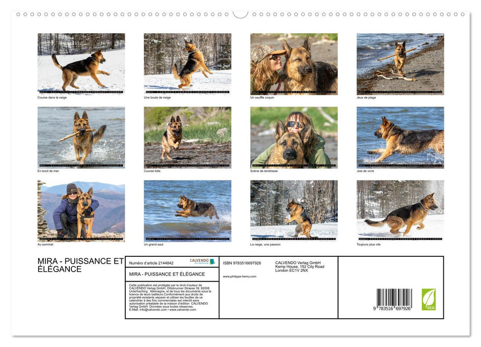 MIRA - PUISSANCE ET ÉLÉGANCE (CALVENDO Calendrier supérieur 2026)
