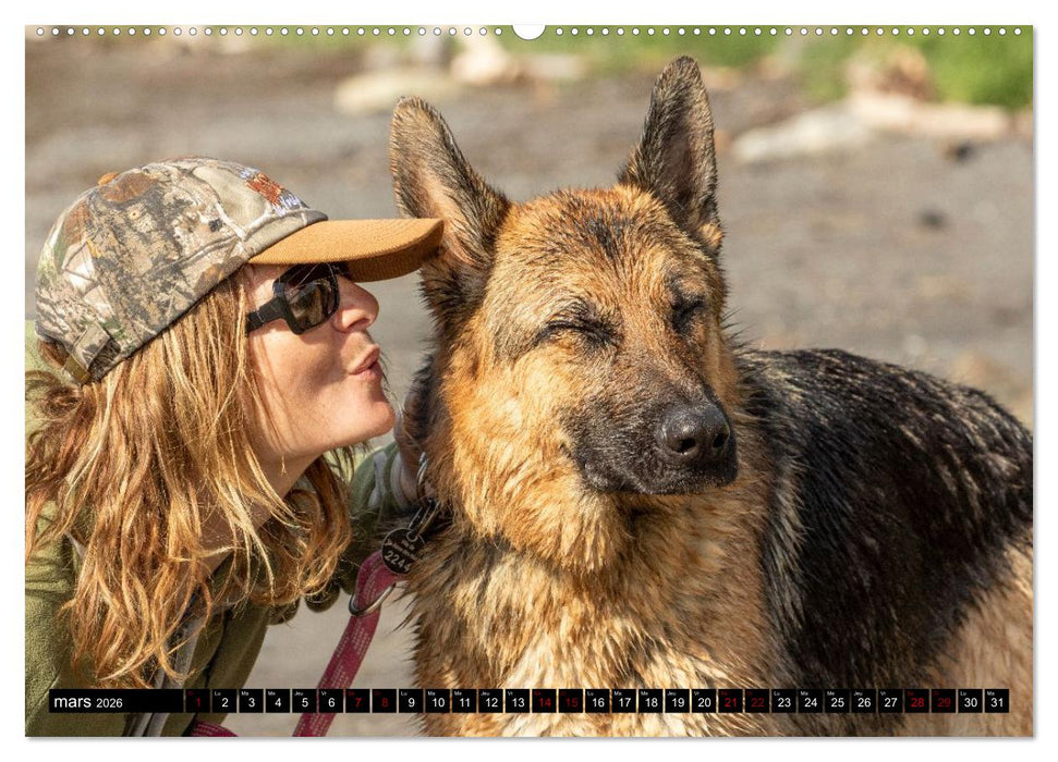 MIRA - PUISSANCE ET ÉLÉGANCE (CALVENDO Calendrier supérieur 2026)