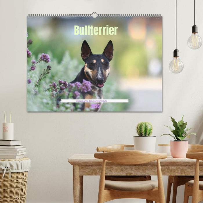 Bullterrier - charmante Herzensbrecher (CALVENDO Wandkalender 2026)